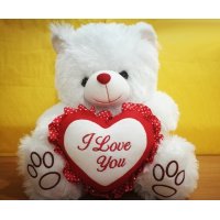 GCN001 - Valentines Teddy Bear